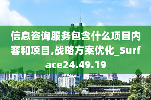 信息咨询服务包含什么项目内容和项目,战略方案优化_Surface24.49.19