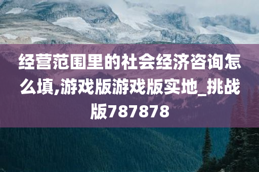 经营范围里的社会经济咨询怎么填,游戏版游戏版实地_挑战版787878