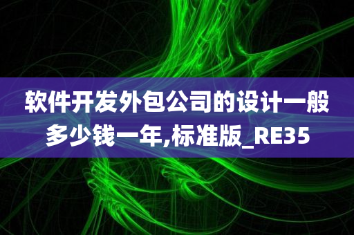 软件开发外包公司的设计一般多少钱一年,标准版_RE35