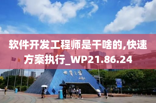 软件开发工程师是干啥的,快速方案执行_WP21.86.24