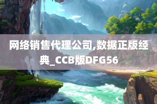 网络销售代理公司,数据正版经典_CCB版DFG56