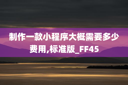 制作一款小程序大概需要多少费用,标准版_FF45