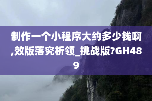 制作一个小程序大约多少钱啊,效版落究析领_挑战版?GH489