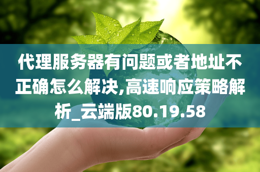 代理服务器有问题或者地址不正确怎么解决,高速响应策略解析_云端版80.19.58