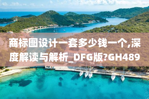 商标图设计一套多少钱一个,深度解读与解析_DFG版?GH489