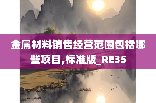 金属材料销售经营范围包括哪些项目,标准版_RE35