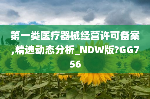 第一类医疗器械经营许可备案,精选动态分析_NDW版?GG756