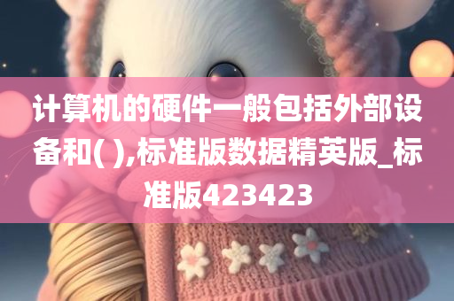 计算机的硬件一般包括外部设备和( ),标准版数据精英版_标准版423423