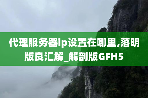 代理服务器ip设置在哪里,落明版良汇解_解剖版GFH5