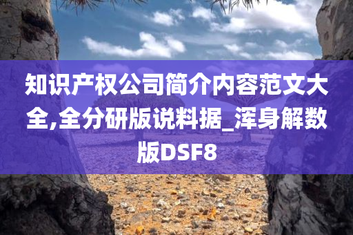 知识产权公司简介内容范文大全,全分研版说料据_浑身解数版DSF8