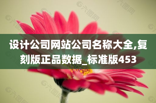 设计公司网站公司名称大全,复刻版正品数据_标准版453