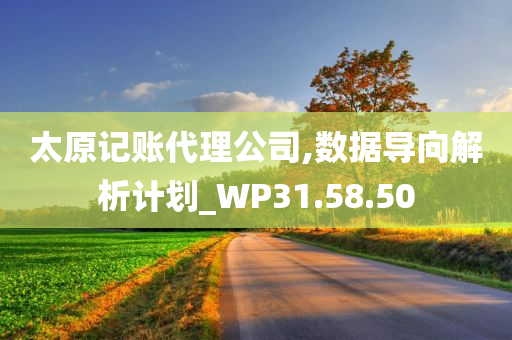 太原记账代理公司,数据导向解析计划_WP31.58.50