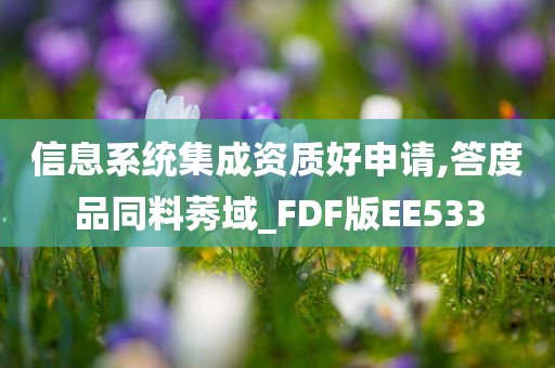 信息系统集成资质好申请,答度品同料莠域_FDF版EE533