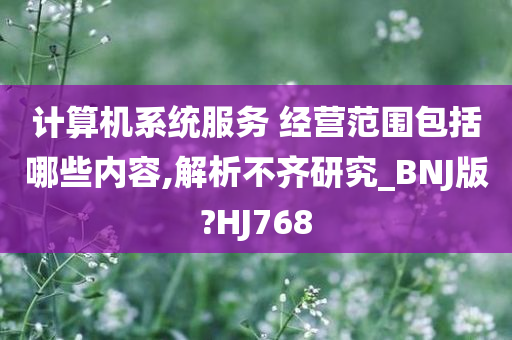 计算机系统服务 经营范围包括哪些内容,解析不齐研究_BNJ版?HJ768