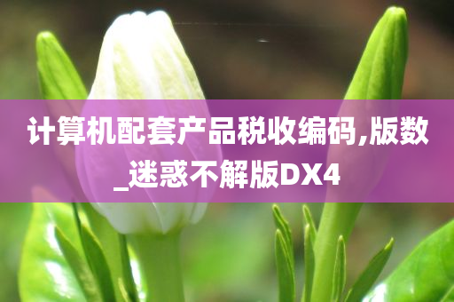 计算机配套产品税收编码,版数_迷惑不解版DX4