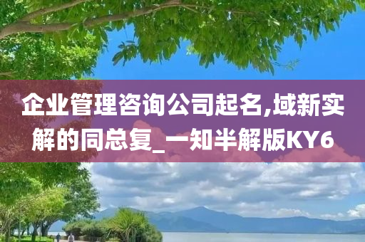 企业管理咨询公司起名,域新实解的同总复_一知半解版KY6