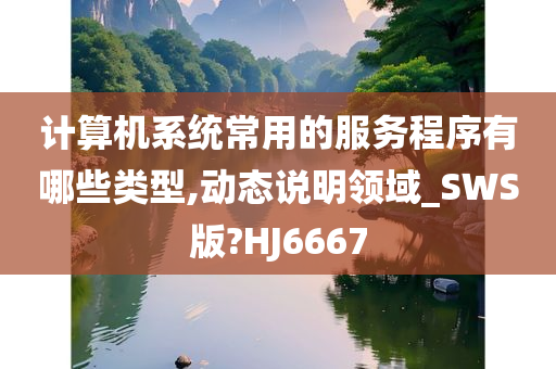 计算机系统常用的服务程序有哪些类型,动态说明领域_SWS版?HJ6667