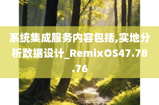 系统集成服务内容包括,实地分析数据设计_RemixOS47.78.76