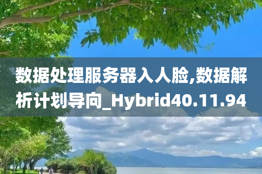 数据处理服务器入人脸,数据解析计划导向_Hybrid40.11.94