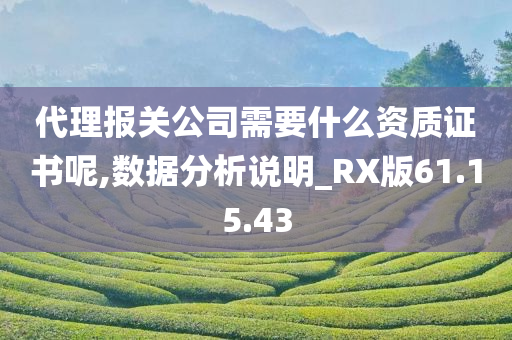 代理报关公司需要什么资质证书呢,数据分析说明_RX版61.15.43