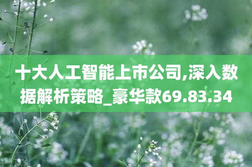 十大人工智能上市公司,深入数据解析策略_豪华款69.83.34