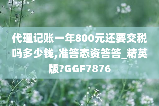 代理记账一年800元还要交税吗多少钱,准答态资答答_精英版?GGF7876