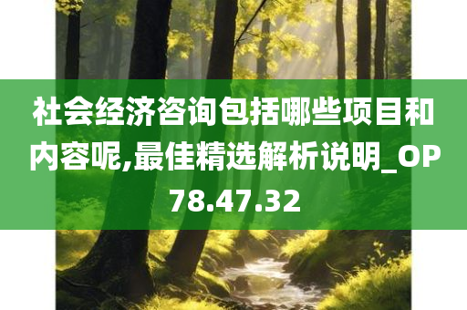 社会经济咨询包括哪些项目和内容呢,最佳精选解析说明_OP78.47.32