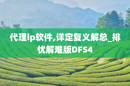 代理ip软件,详定复义解总_排忧解难版DFS4