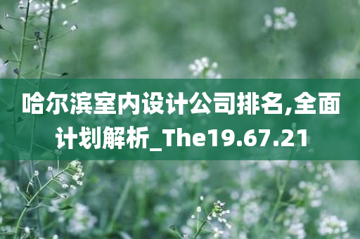 哈尔滨室内设计公司排名,全面计划解析_The19.67.21