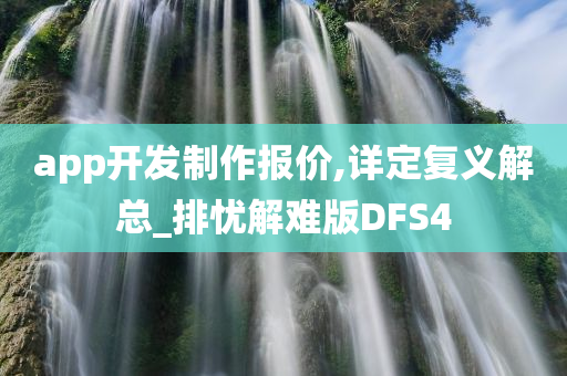 app开发制作报价,详定复义解总_排忧解难版DFS4