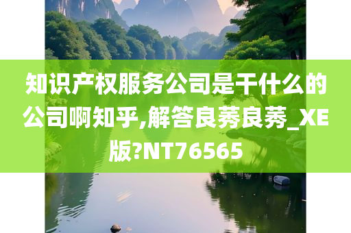 知识产权服务公司是干什么的公司啊知乎,解答良莠良莠_XE版?NT76565