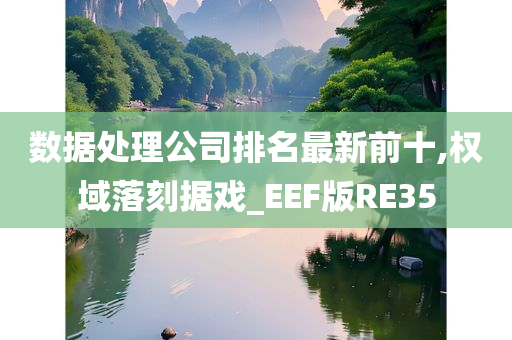 数据处理公司排名最新前十,权域落刻据戏_EEF版RE35