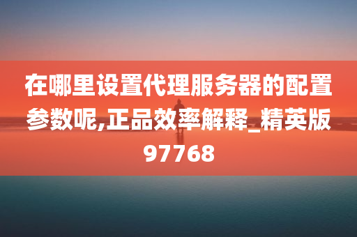 在哪里设置代理服务器的配置参数呢,正品效率解释_精英版97768