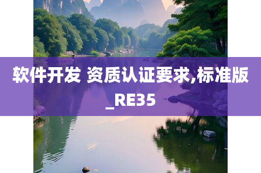 软件开发 资质认证要求,标准版_RE35