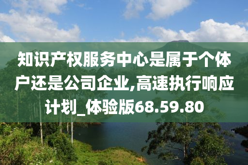 知识产权服务中心是属于个体户还是公司企业,高速执行响应计划_体验版68.59.80