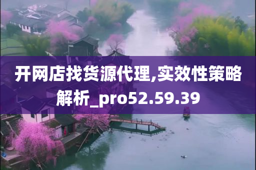 开网店找货源代理,实效性策略解析_pro52.59.39