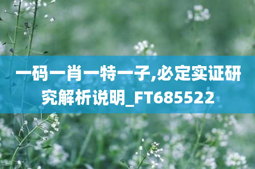 一码一肖一特一子,必定实证研究解析说明_FT685522