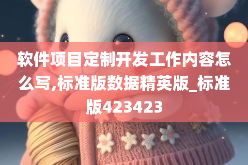 软件项目定制开发工作内容怎么写,标准版数据精英版_标准版423423