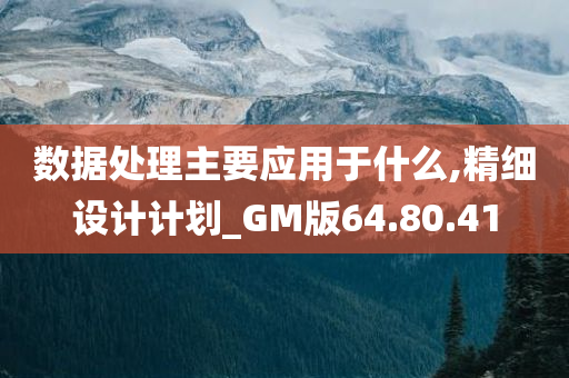 数据处理主要应用于什么,精细设计计划_GM版64.80.41