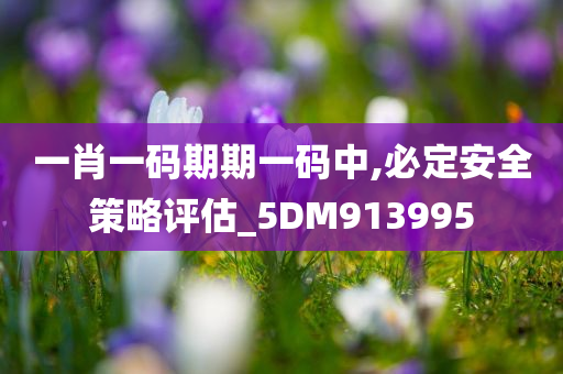 一肖一码期期一码中,必定安全策略评估_5DM913995