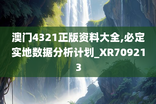 澳门4321正版资料大全,必定实地数据分析计划_XR709213