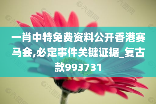 一肖中特免费资料公开香港赛马会,必定事件关键证据_复古款993731