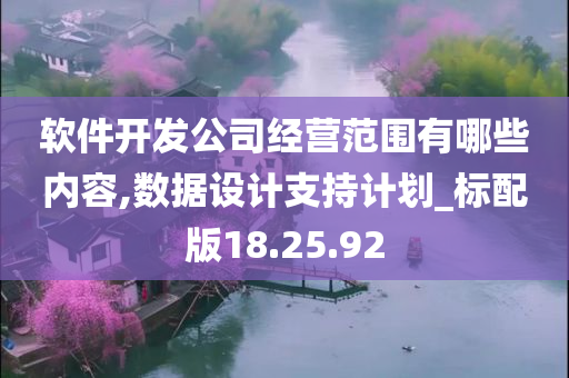 软件开发公司经营范围有哪些内容,数据设计支持计划_标配版18.25.92