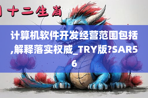 计算机软件开发经营范围包括,解释落实权威_TRY版?SAR56