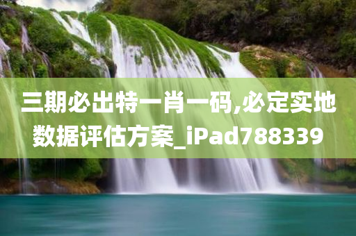 三期必出特一肖一码,必定实地数据评估方案_iPad788339