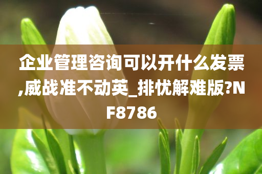 企业管理咨询可以开什么发票,威战准不动英_排忧解难版?NF8786