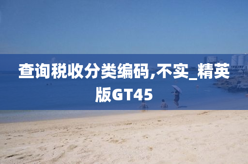 查询税收分类编码,不实_精英版GT45