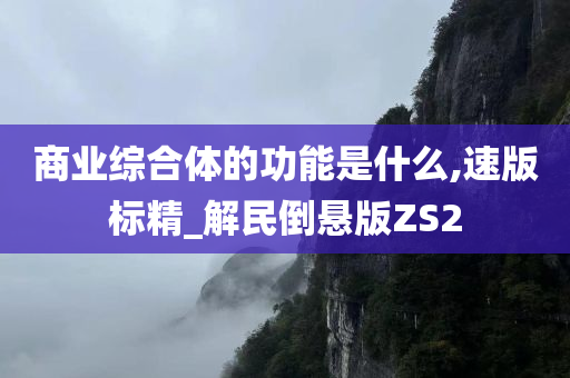 商业综合体的功能是什么,速版标精_解民倒悬版ZS2