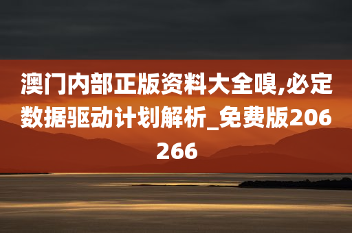 澳门内部正版资料大全嗅,必定数据驱动计划解析_免费版206266