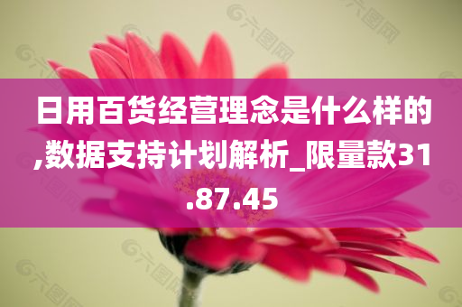 日用百货经营理念是什么样的,数据支持计划解析_限量款31.87.45